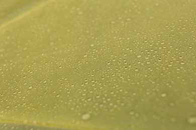 Photo of Closeup view of yellow umbrella with rain droplets
