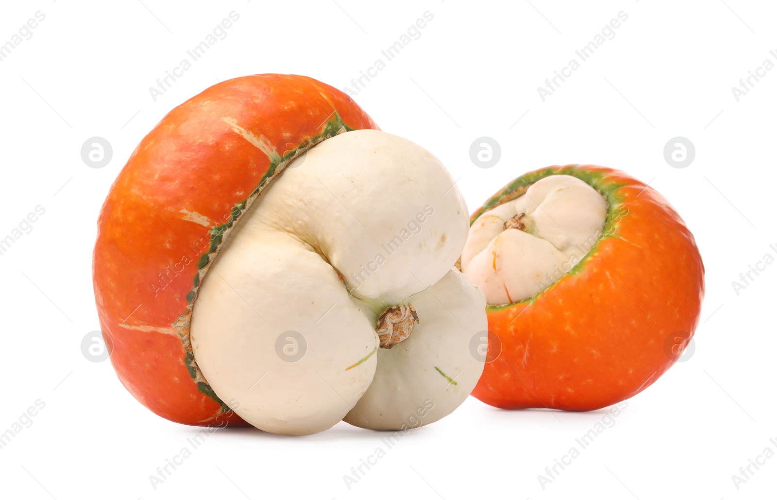 Photo of Two fresh ripe pumpkins isolated on white