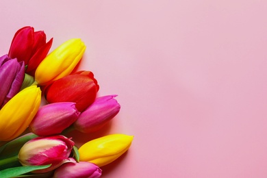 Photo of Beautiful spring tulip flowers on color background, top view. Space for text