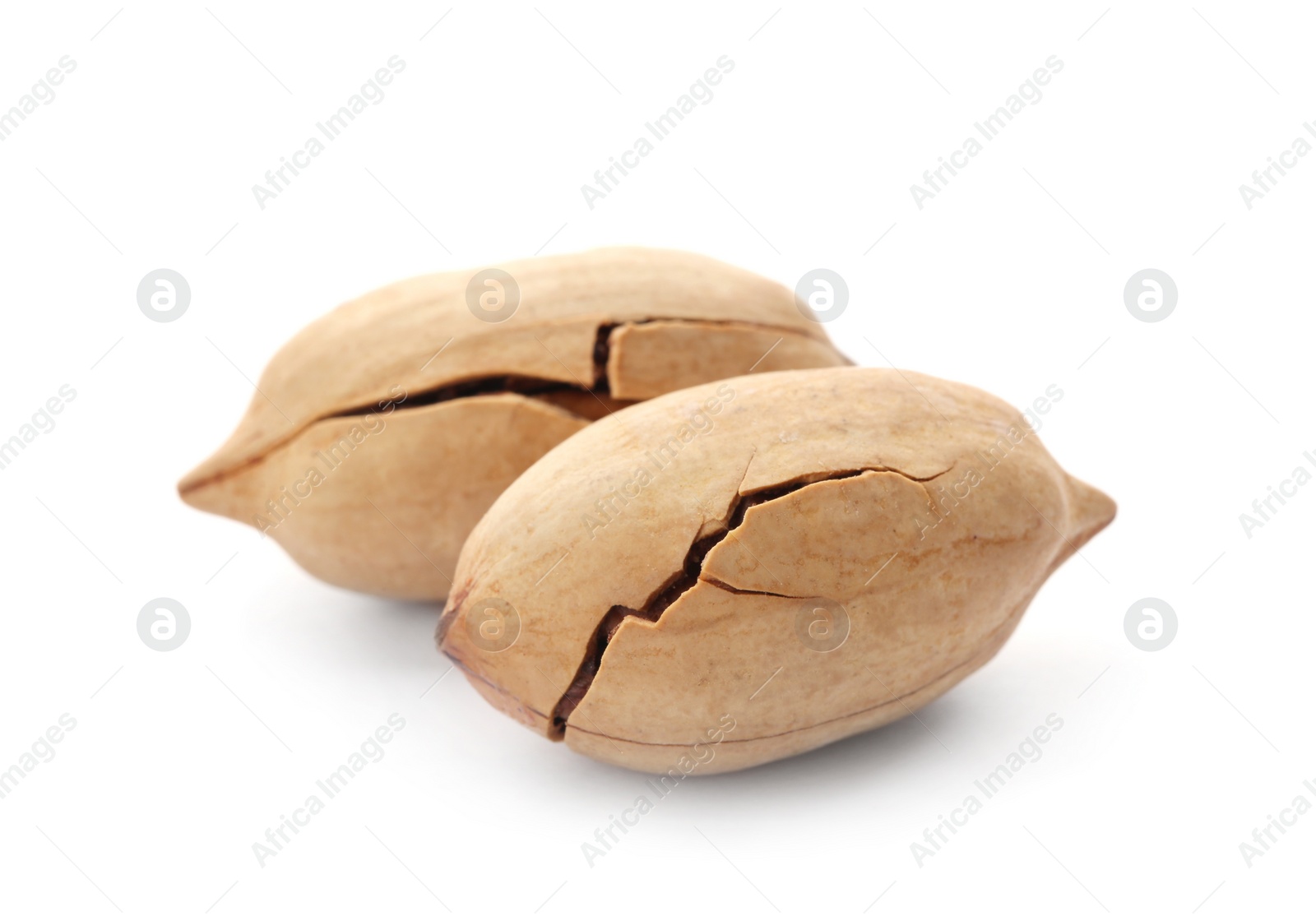 Photo of Pecan nuts in shell on white background. Nutritive food