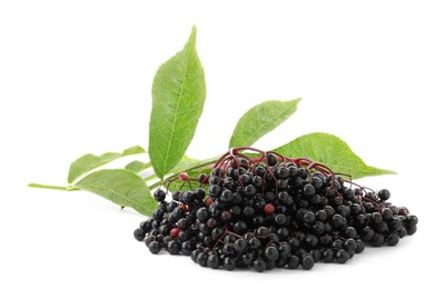 Photo of Bunch of ripe elderberries and green leaves isolated on white