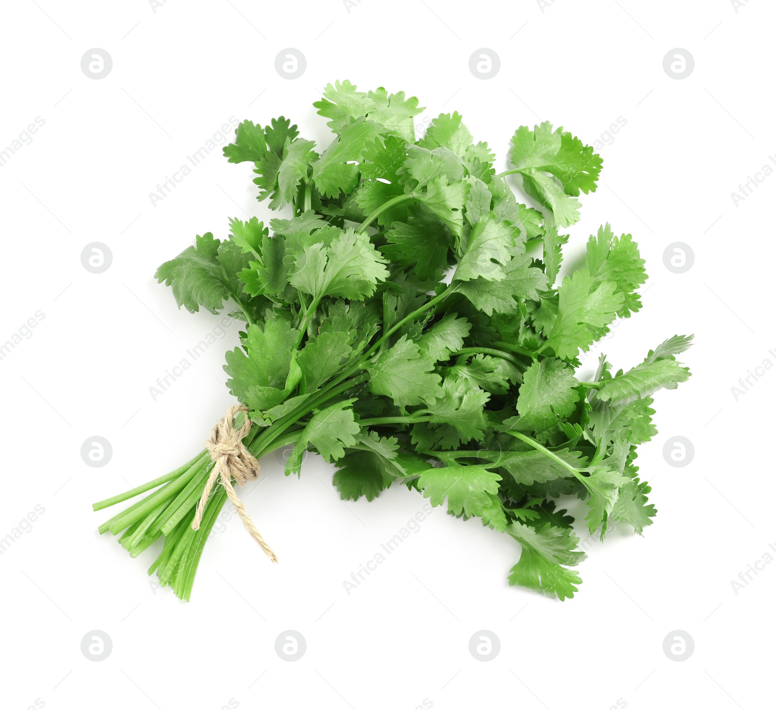 Photo of Bunch of fresh coriander on white background, top view