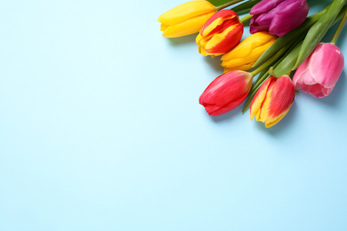 Photo of Beautiful spring tulips on light blue background, flat lay. Space for text