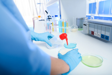 Scientist pouring liquid into Petri dish, closeup. Laboratory analysis