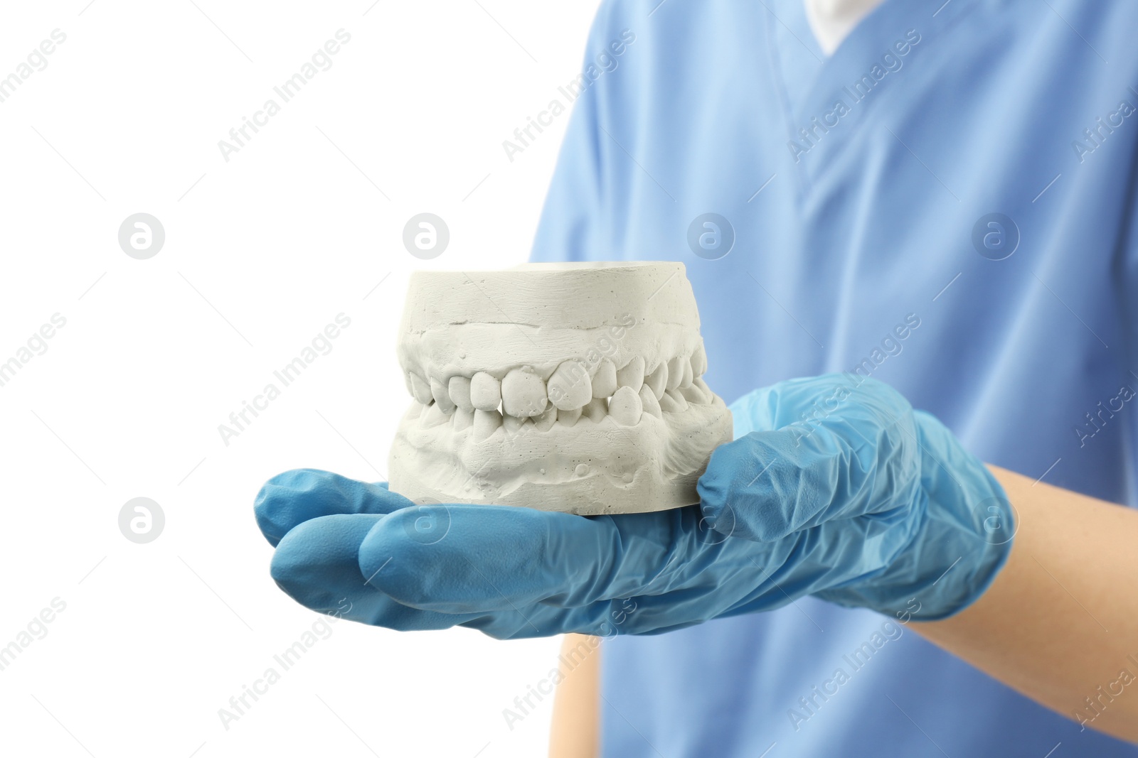 Photo of Doctor holding dental model with jaws on white background, closeup. Cast of teeth