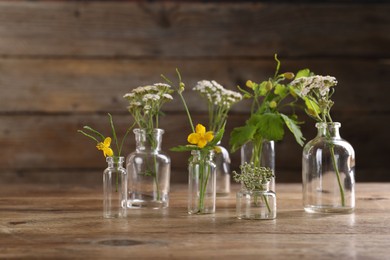 Photo of Yarrows and celandine flowers in glass bottles on wooden table