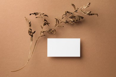 Empty business card and dried plant on dark beige background, top view. Mockup for design