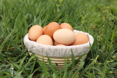 Fresh chicken eggs in basket on green grass outdoors