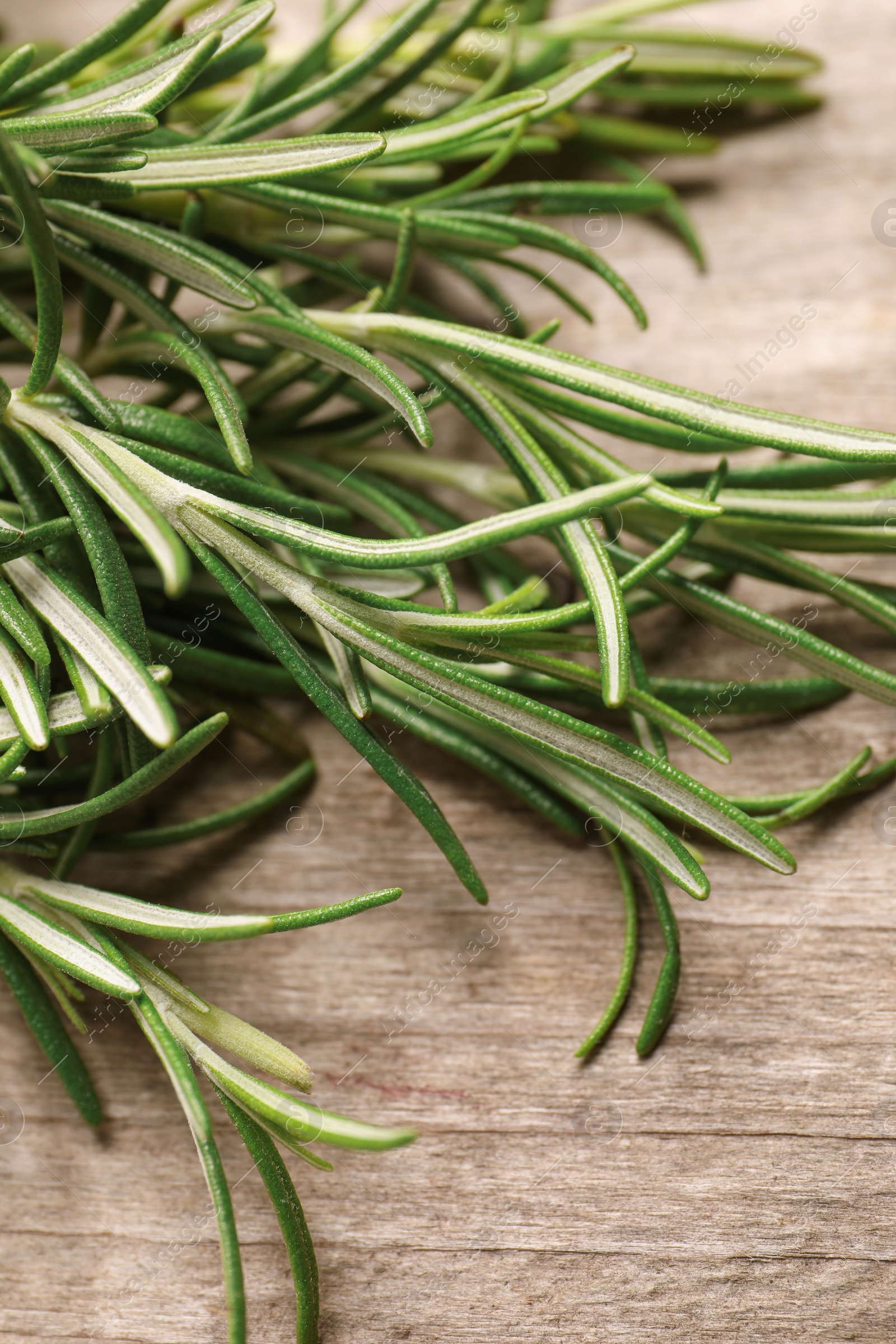 Photo of Sprigs of fresh rosemary on wooden table, closeup