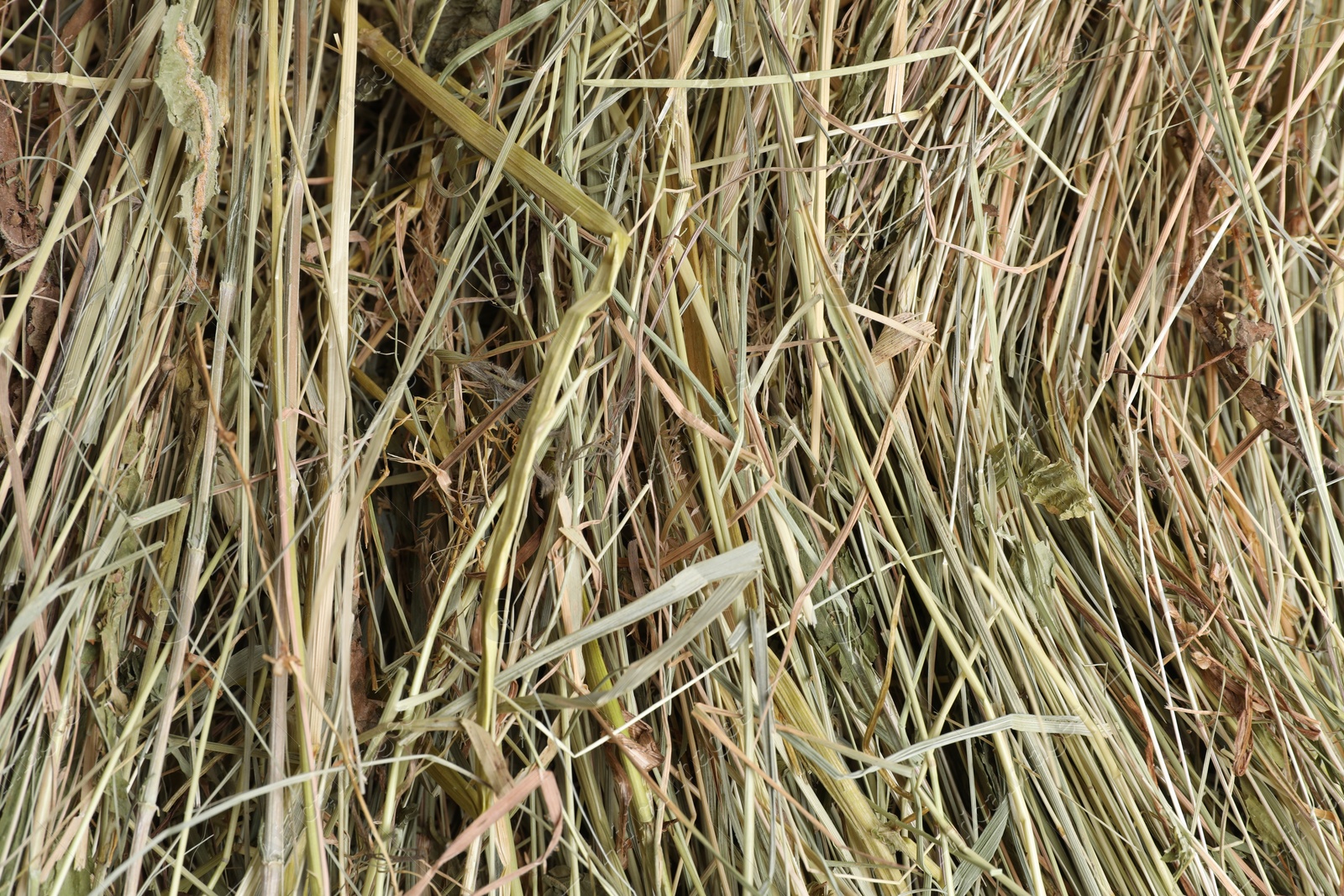 Photo of Pile of dried hay as background, closeup