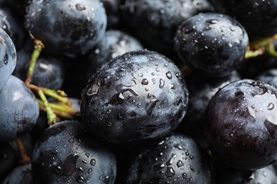 Fresh ripe juicy black grapes as background, closeup view