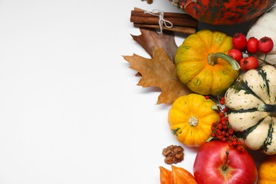 Thanksgiving day. Flat lay composition with pumpkins on white background, space for text