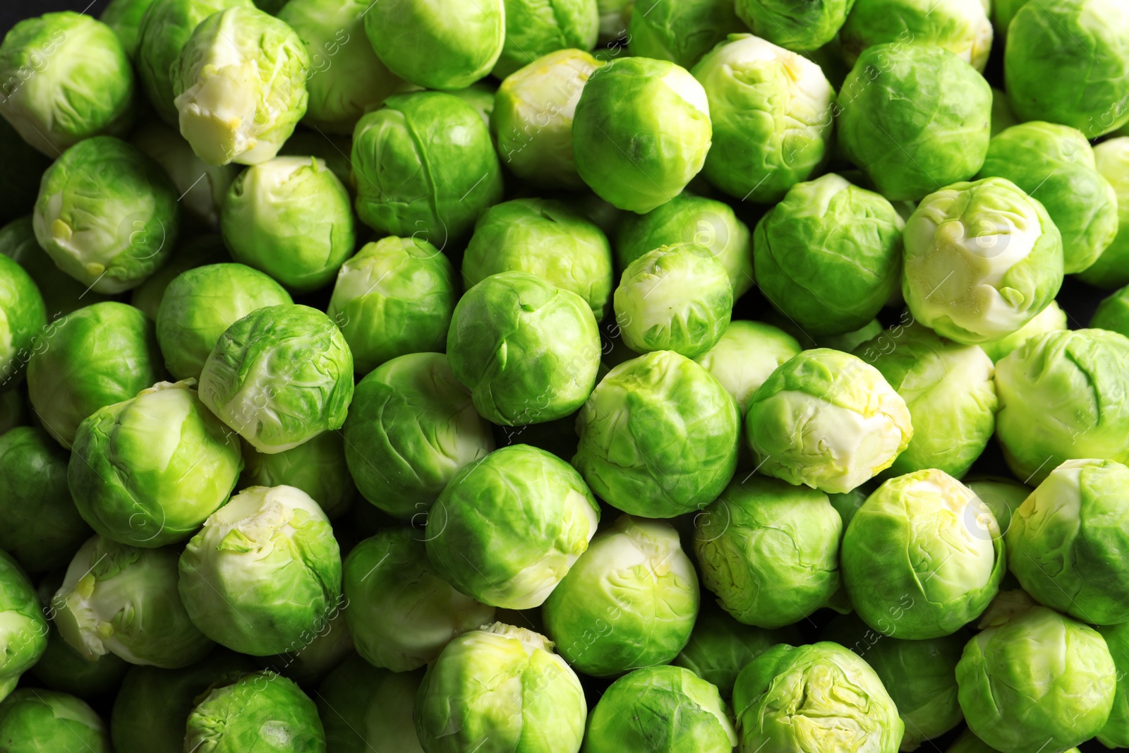 Photo of Pile of fresh Brussels sprouts as background