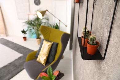 Shelf with potted cacti on grey wall in room interior. Trendy plants for home