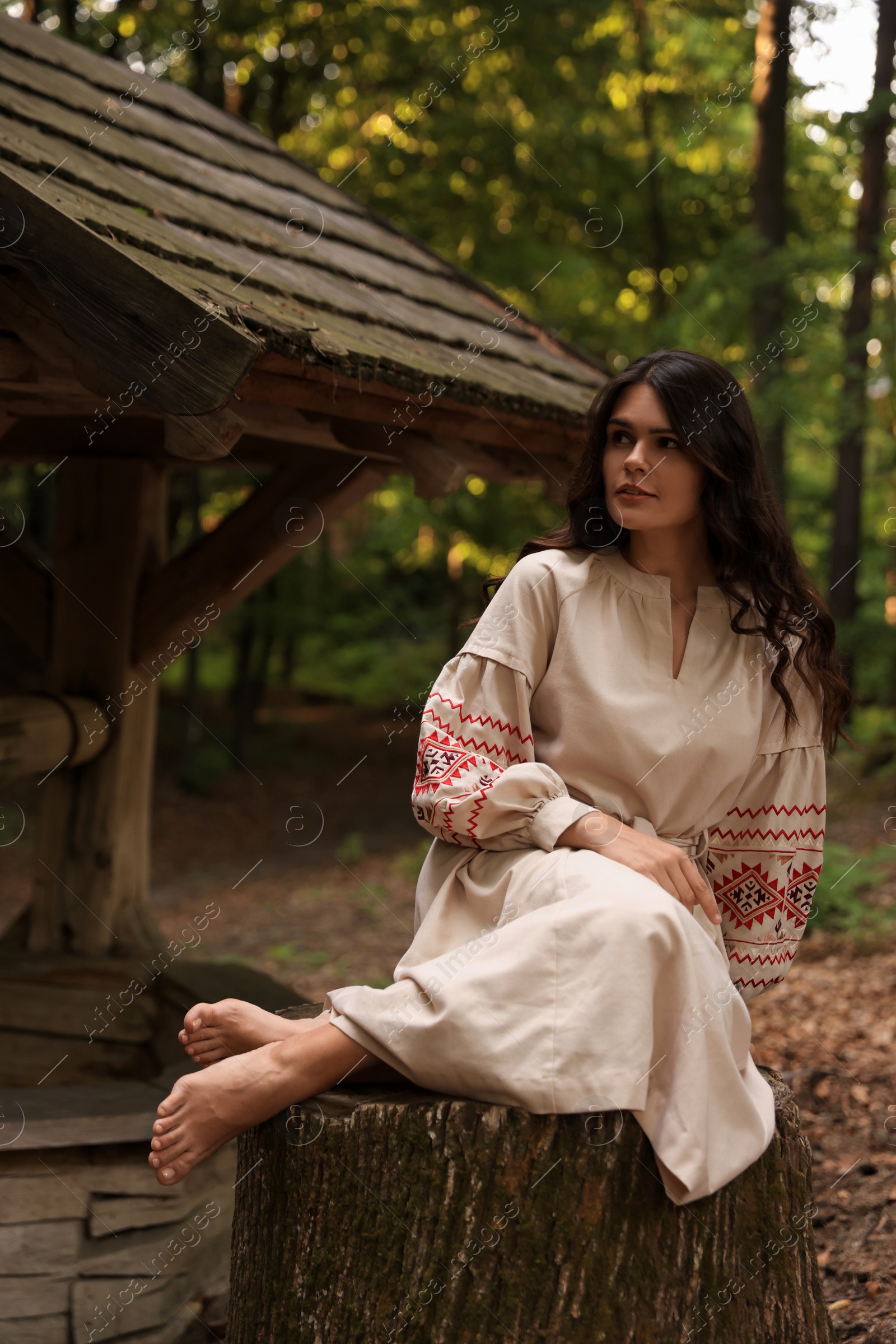 Photo of Beautiful woman wearing embroidered dress sitting near old wooden well in countryside. Ukrainian national clothes