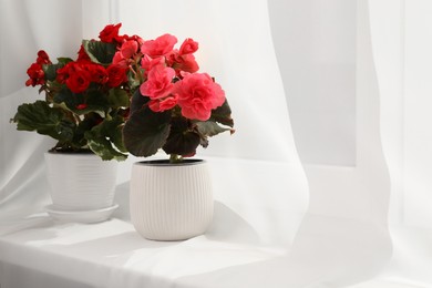 Beautiful begonia flowers in pots on windowsill, space for text