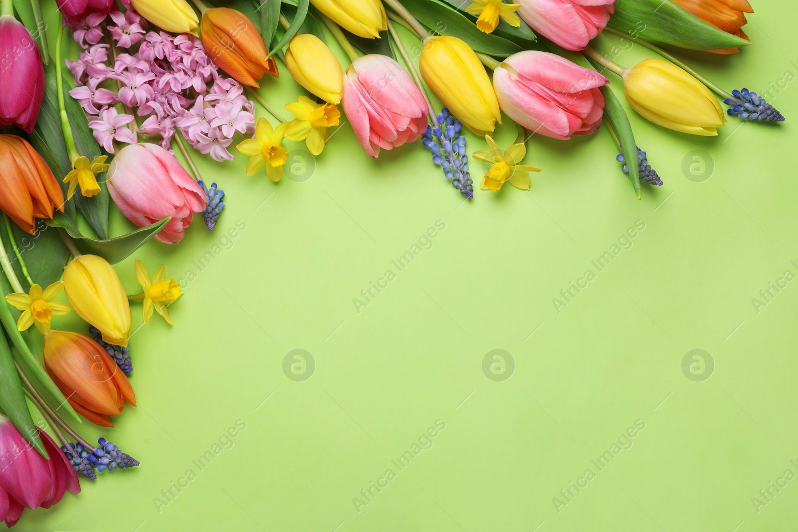 Photo of Beautiful different flowers on green background, flat lay. Space for text