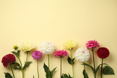 Photo of Beautiful dahlia flowers on pale yellow background, flat lay. Space for text