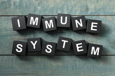 Photo of Black cubes with phrase Immune System on blue wooden table, flat lay