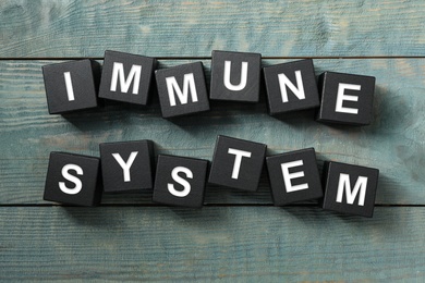 Black cubes with phrase Immune System on blue wooden table, flat lay