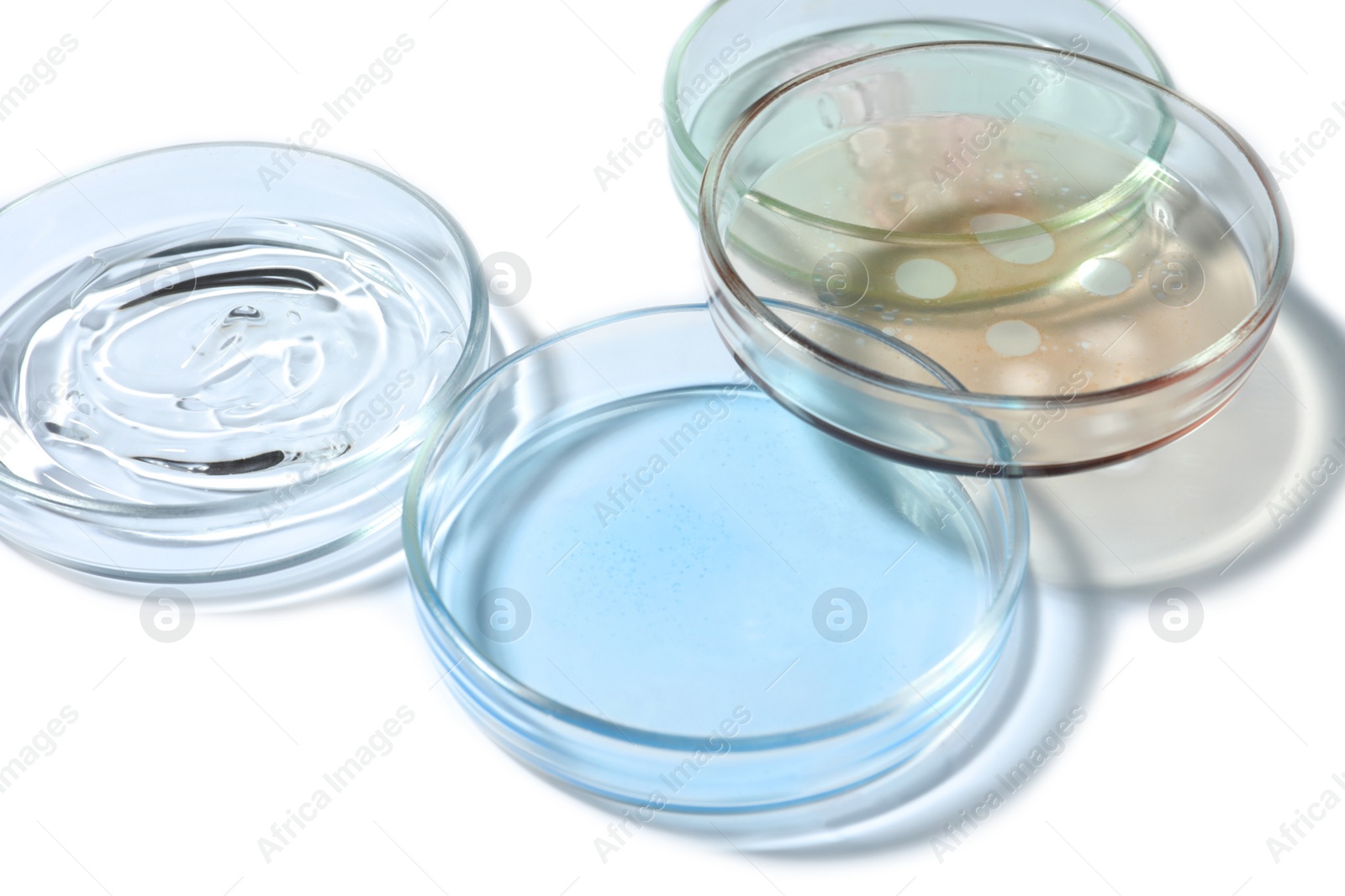 Photo of Petri dishes with color liquids on white background