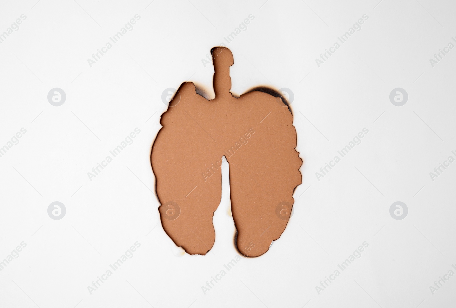 Photo of No smoking concept. Burned lungs shaped paper on brown background, top view