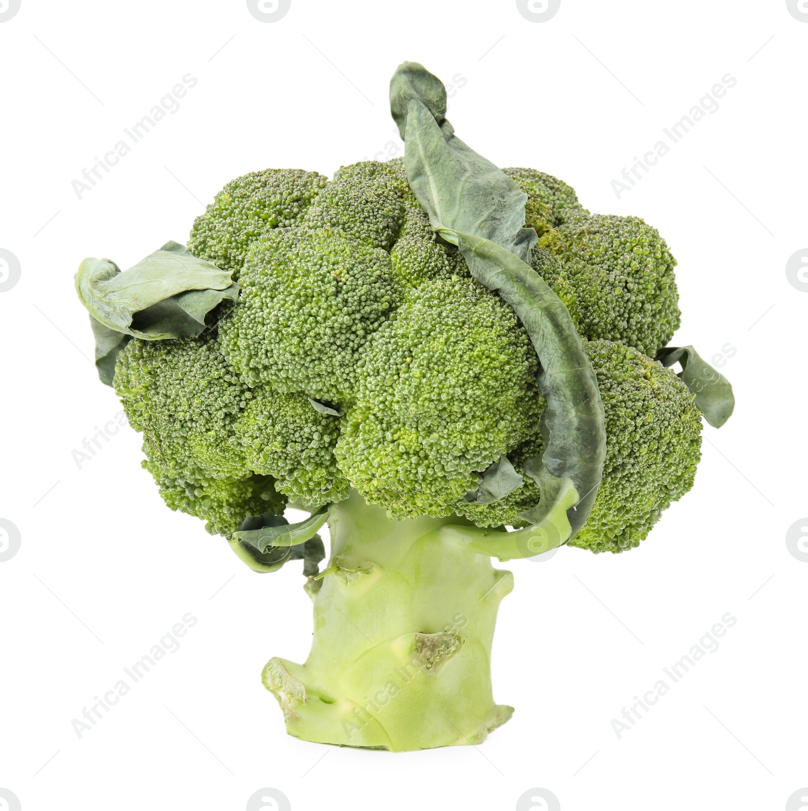 Photo of Fresh raw green broccoli isolated on white