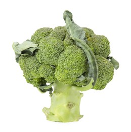 Photo of Fresh raw green broccoli isolated on white