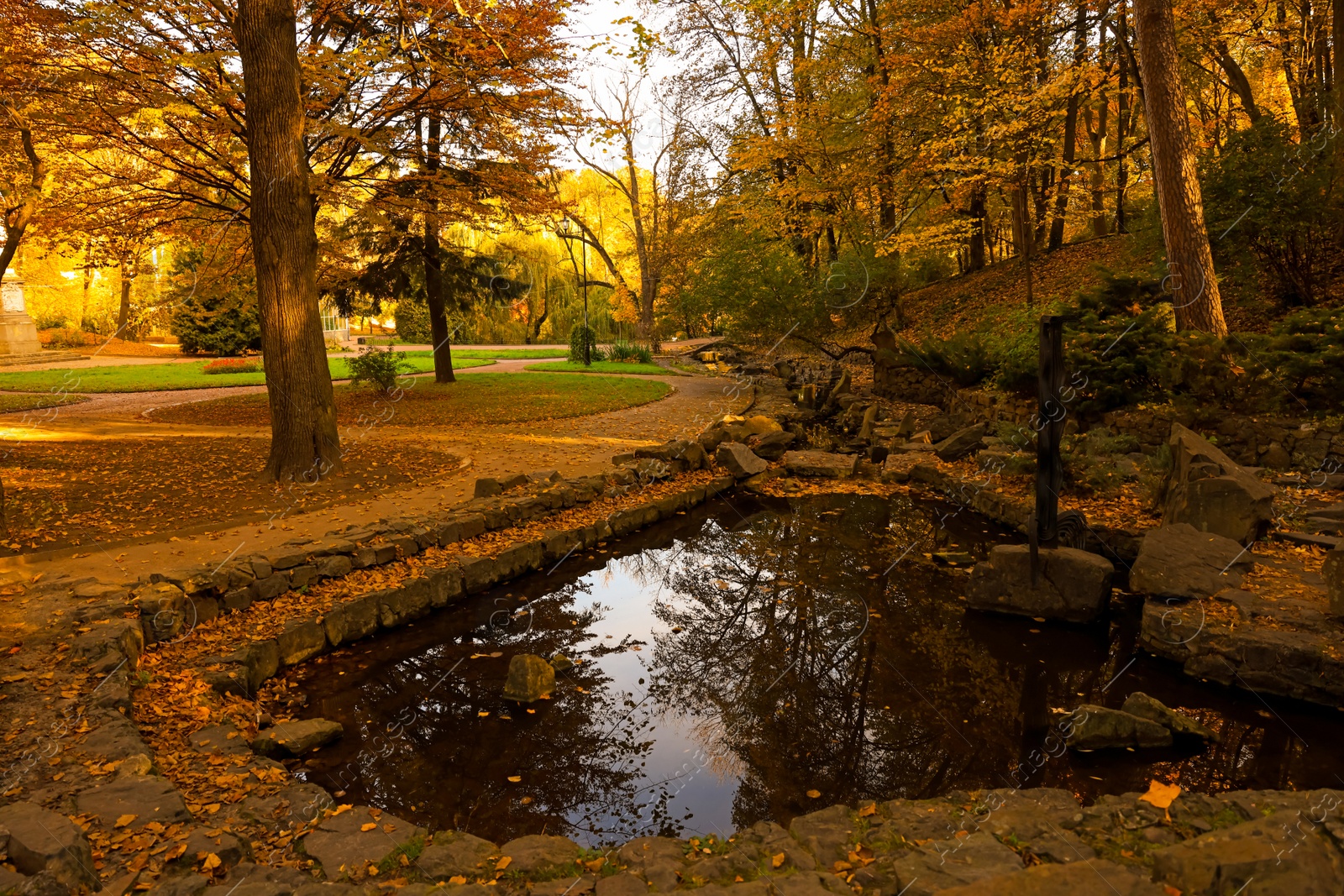 Photo of Beautiful pond and yellowed trees in park on sunny day