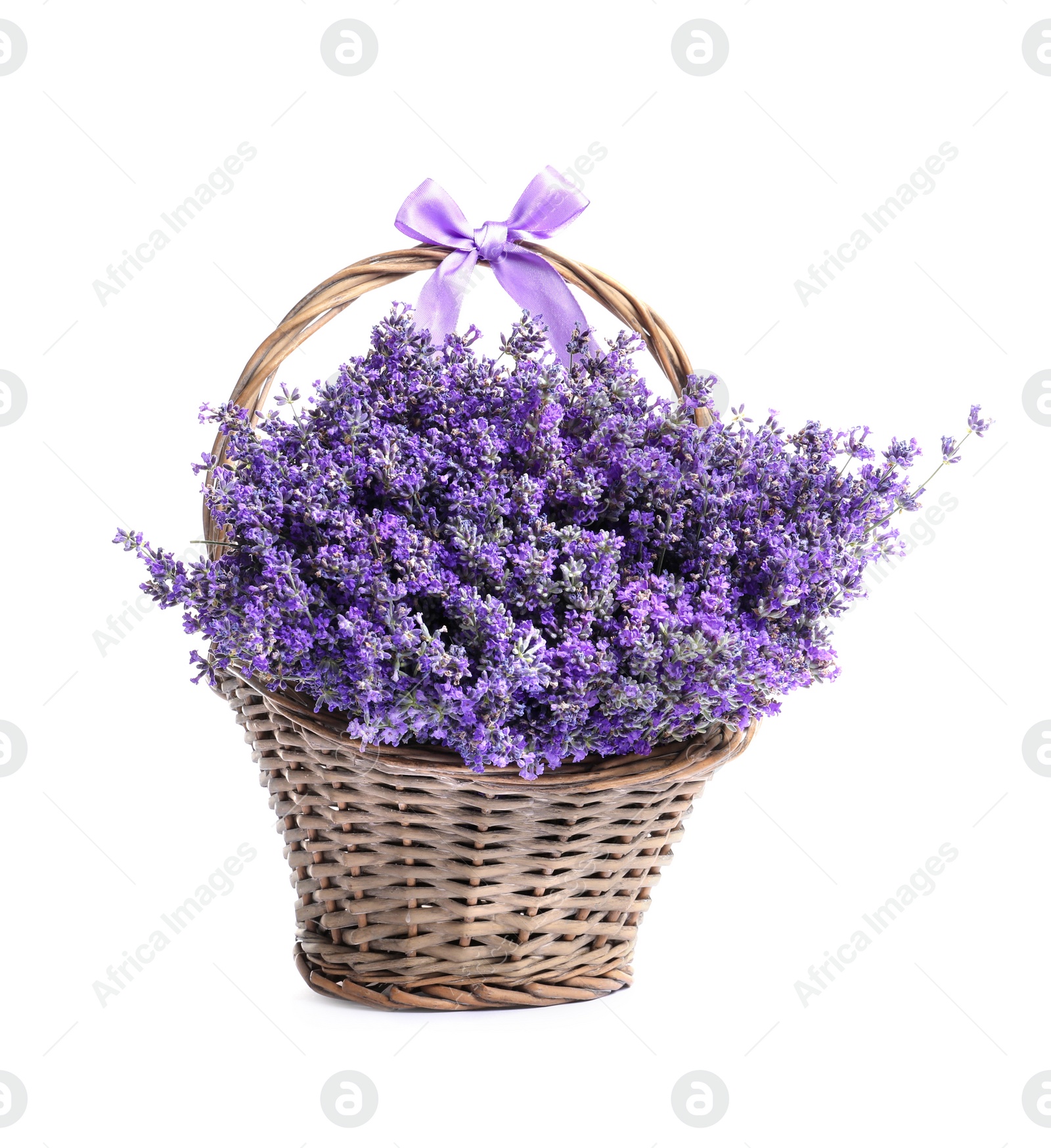 Photo of Fresh lavender flowers in basket on white background