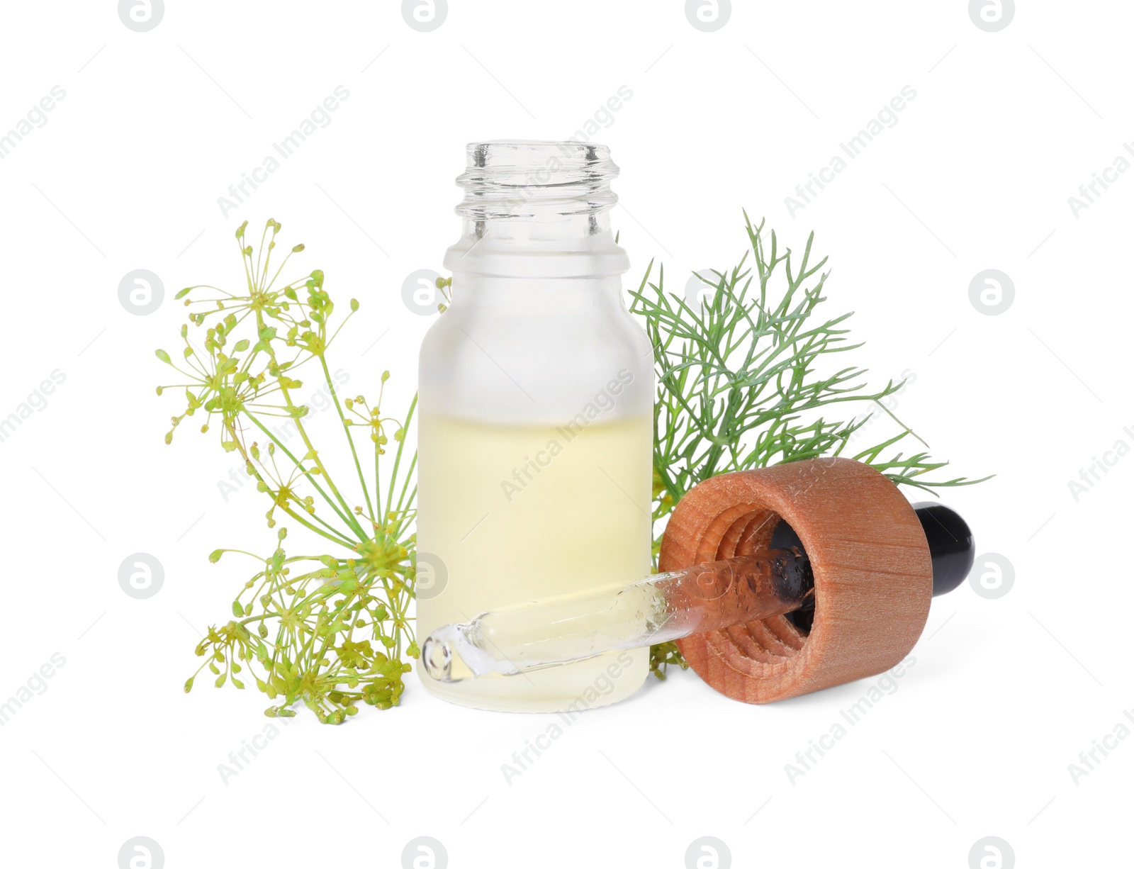Photo of Bottle of essential oil, pipette and fresh dill isolated on white