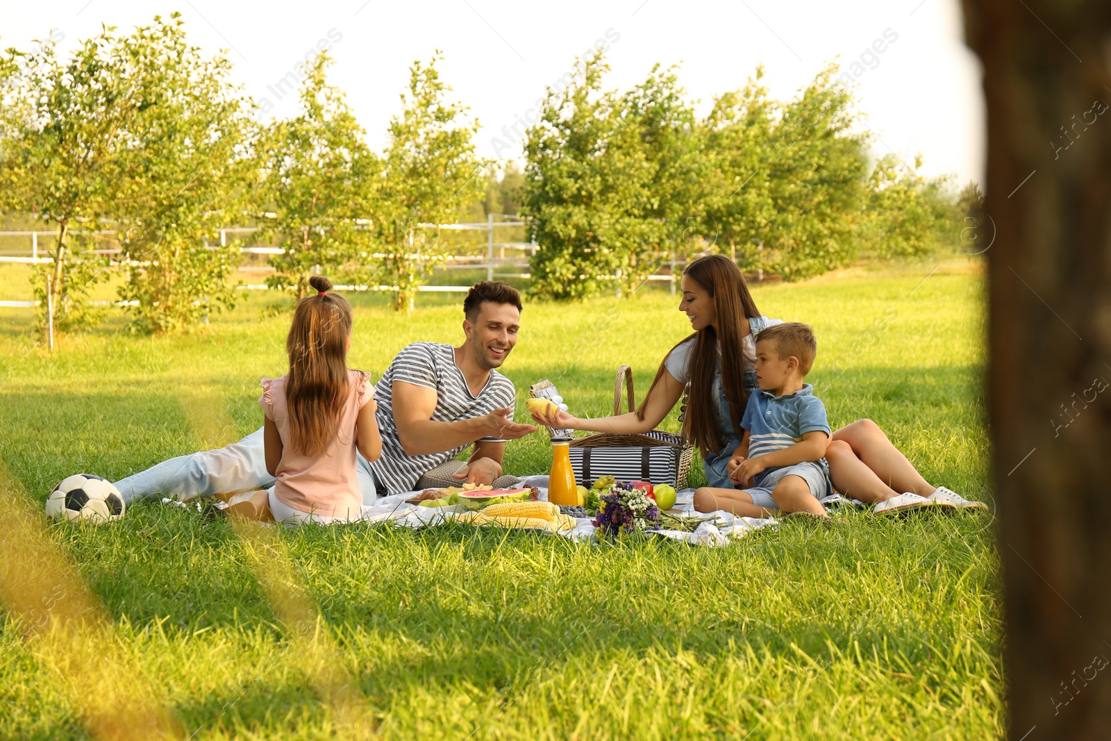 Photo of Happy family having picnic in park on sunny summer day