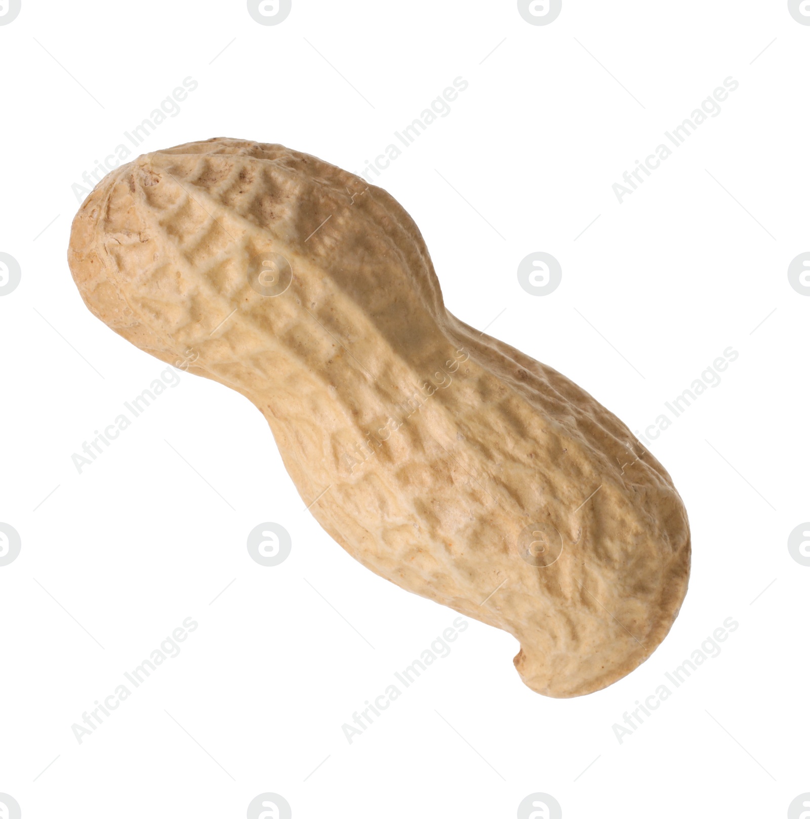 Photo of One fresh unpeeled peanut isolated on white