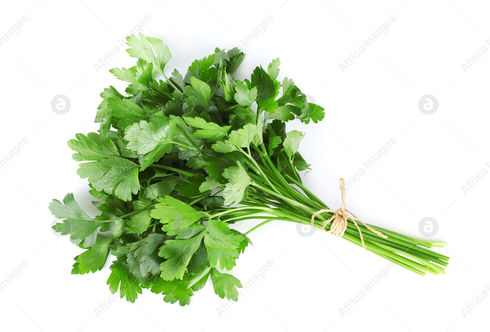 Photo of Bunch of fresh green parsley isolated on white