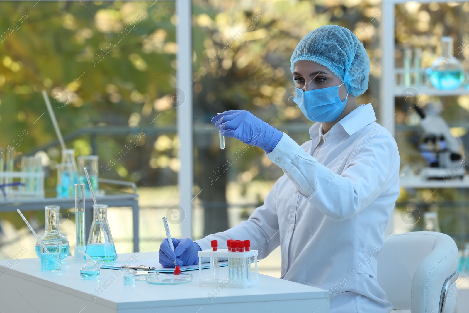 Photo of Scientist working with sample in laboratory, space for text. Medical research