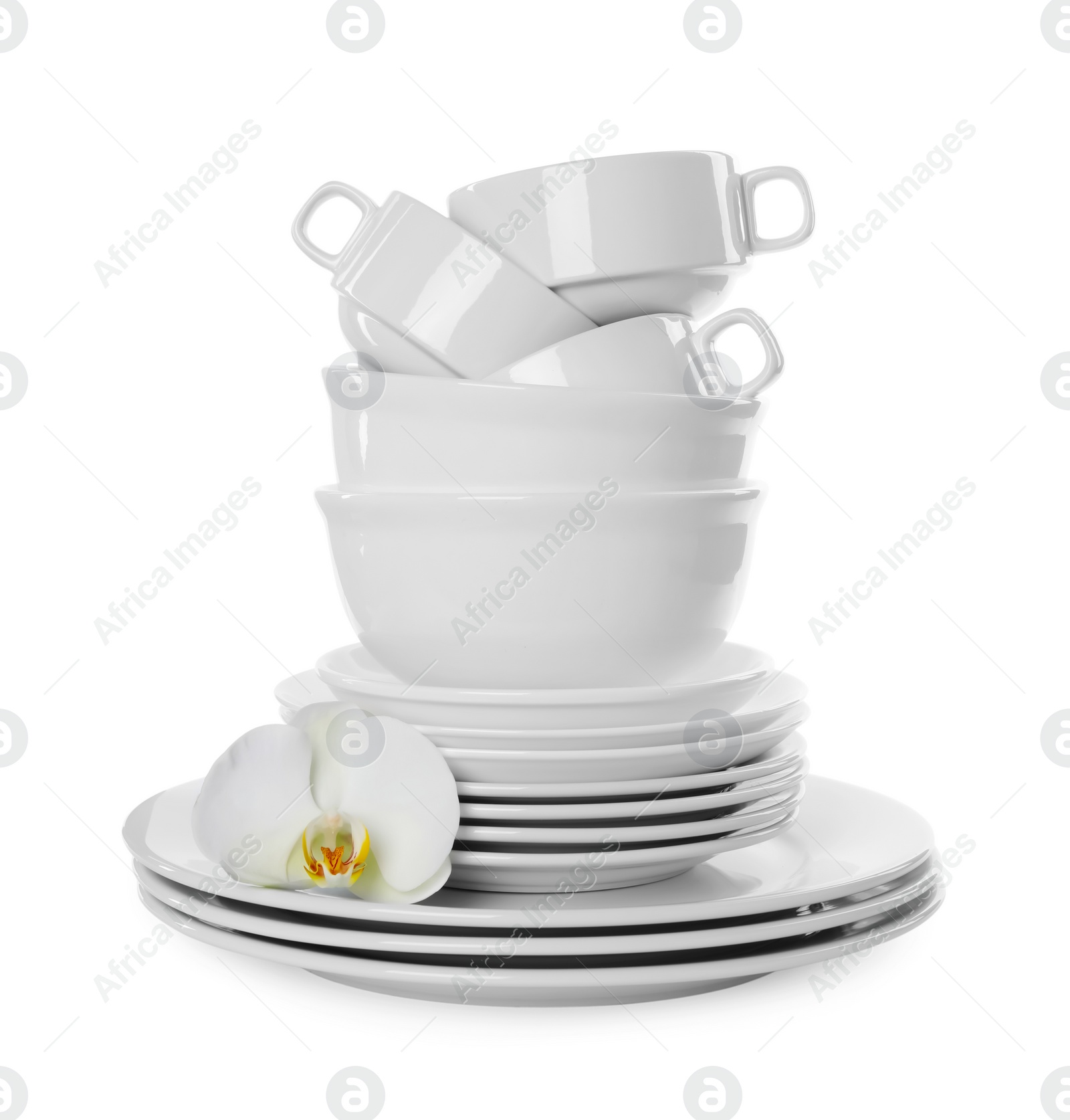 Photo of Set of dishware and flower on white background