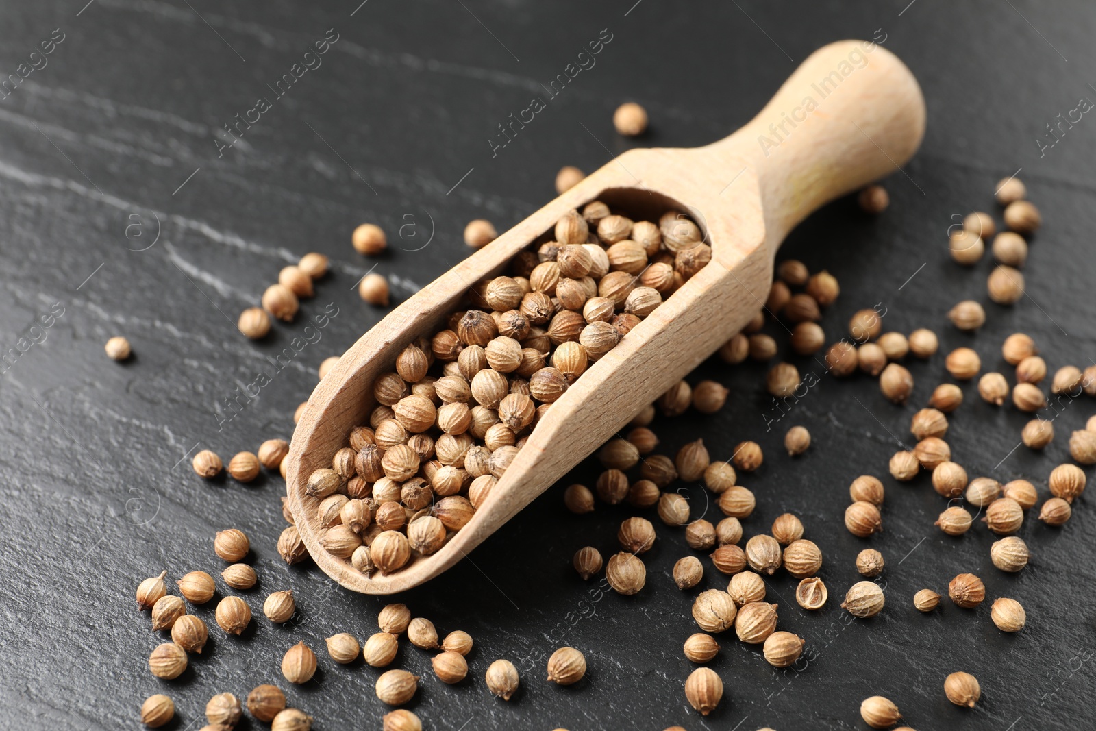 Photo of Scoop with dried coriander seeds on dark gray textured table, closeup