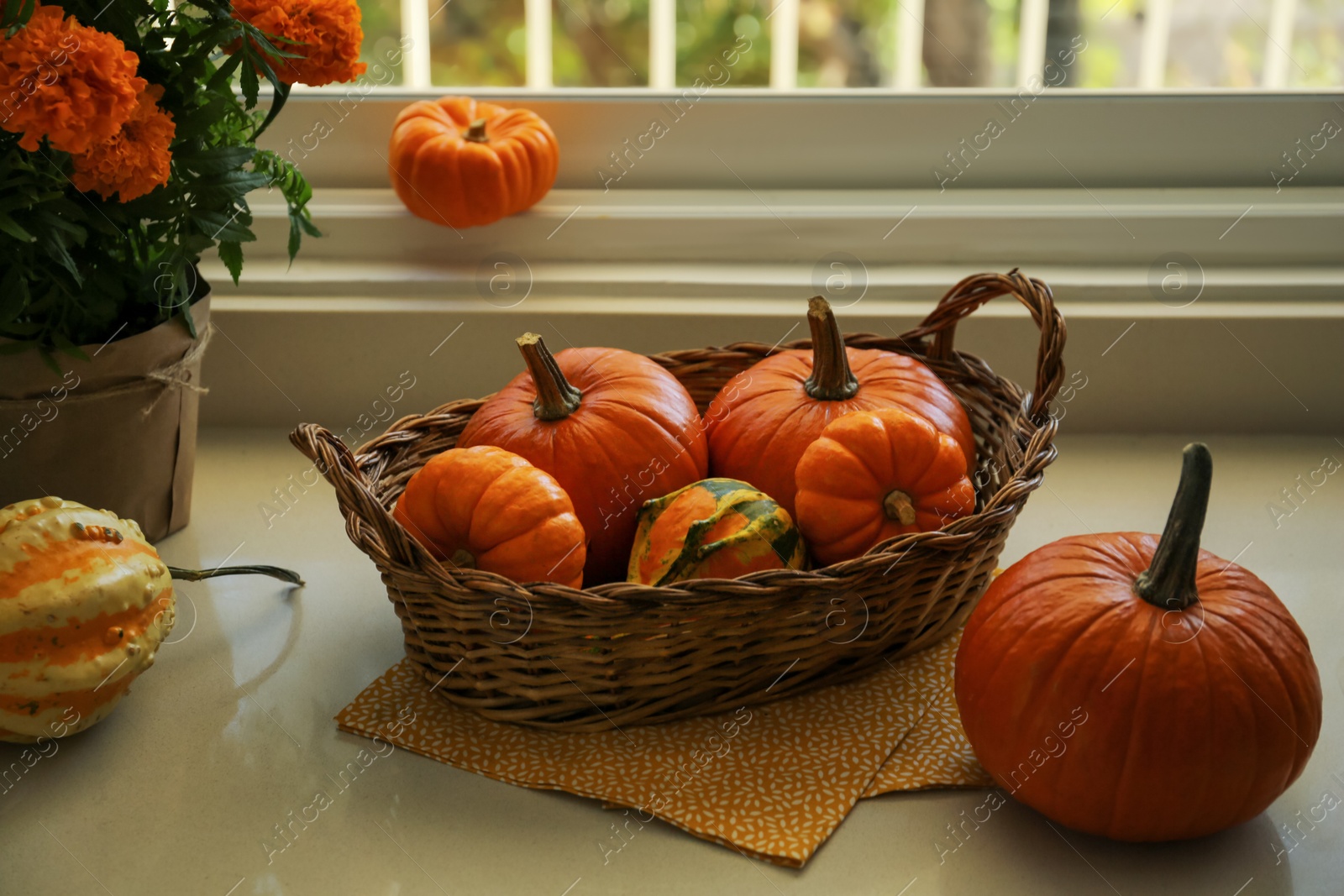 Photo of Many whole ripe pumpkins and potted flowers on windowsill indoors