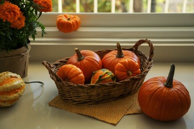 Photo of Many whole ripe pumpkins and potted flowers on windowsill indoors