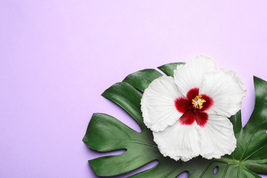 Beautiful tropical hibiscus flower and monstera leaf on violet background, flat lay. Space for text