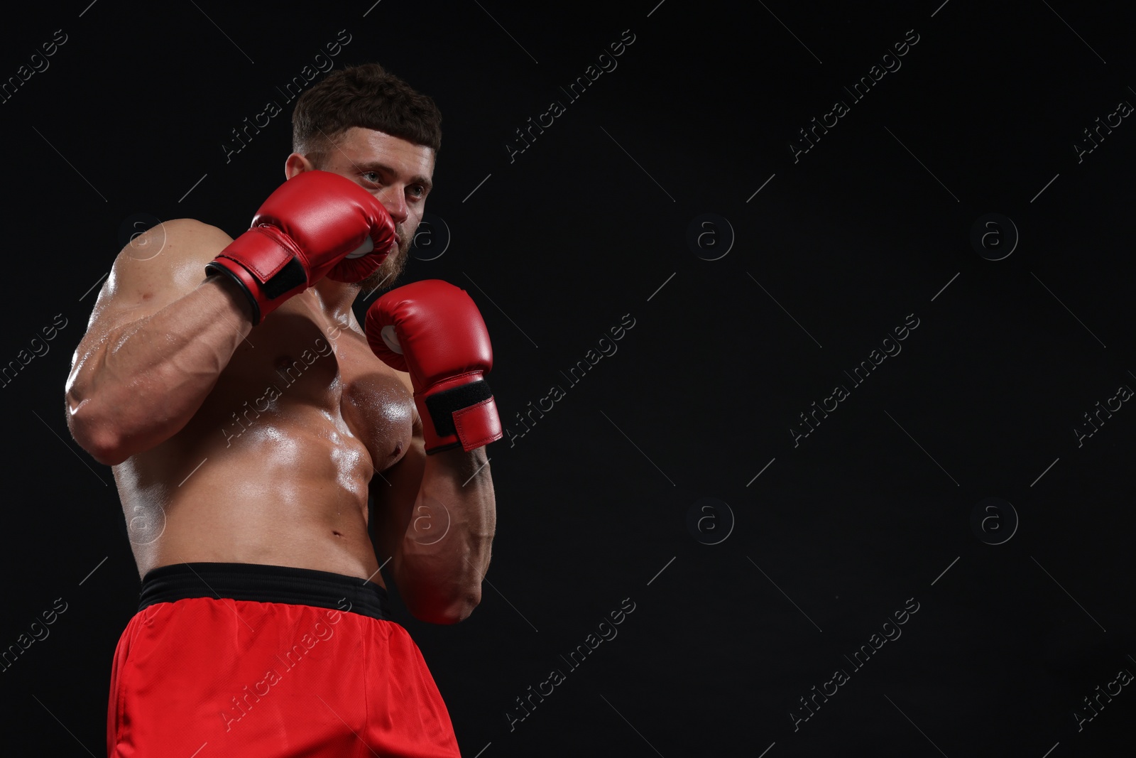 Photo of Man in boxing gloves fighting on black background. Space for text