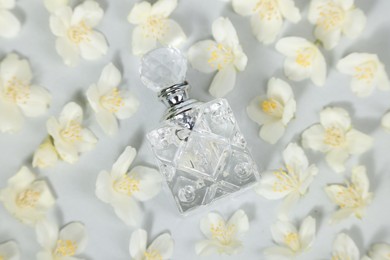 Aromatic perfume in bottle and beautiful jasmine flowers on light grey background, flat lay