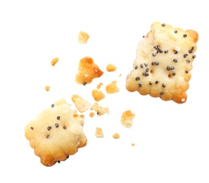 Image of Crushed cracker and crumbs on white background