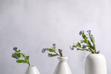 Photo of Beautiful forget-me-not flowers in vases on grey background, closeup. Space for text
