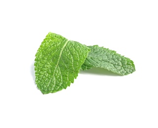 Fresh green mint leaves on white background