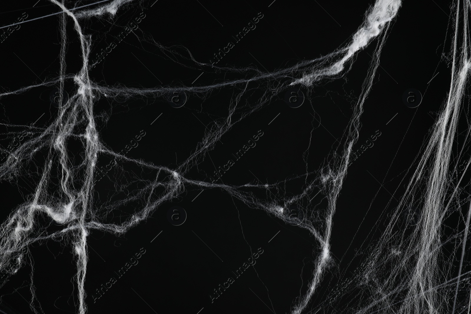 Photo of Creepy white spider web on black background