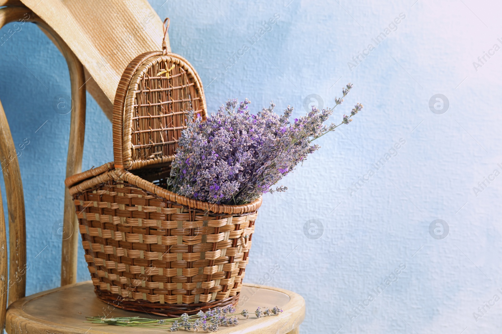 Photo of Wicker basket with lavender flowers on chair against color background