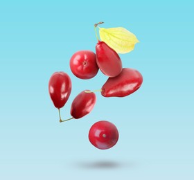 Image of Fresh red dogwood berries and leaf falling on light blue background