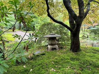 Photo of Different plants, stone lantern and little pond in Japanese garden