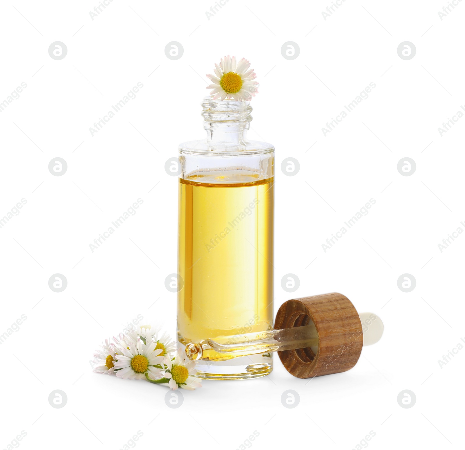 Photo of Bottle of chamomile essential oil and flowers on white background